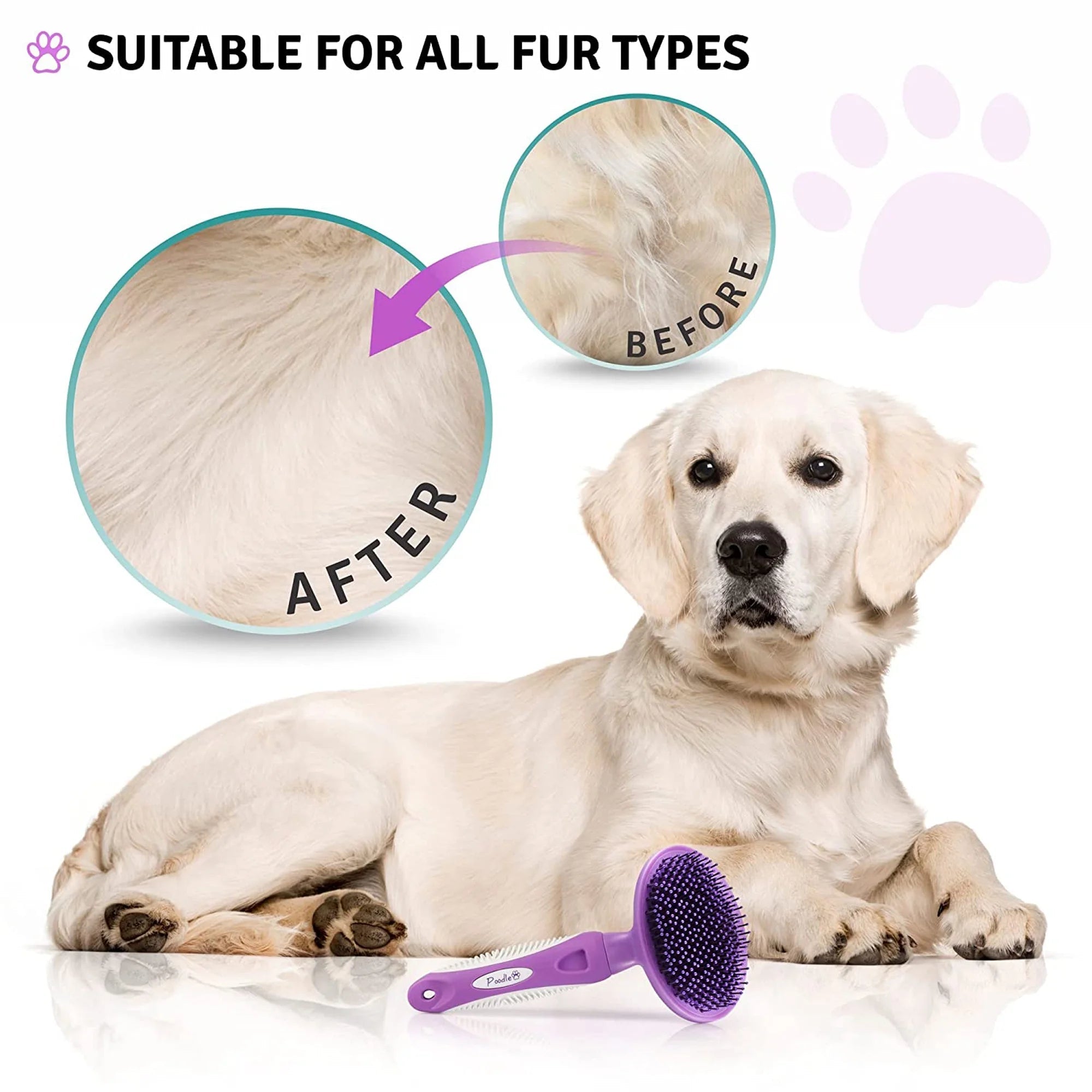 round Soft Bristle Hair Brush Pet Grooming Tool for Dogs & Cats, Purple - AURELLE
