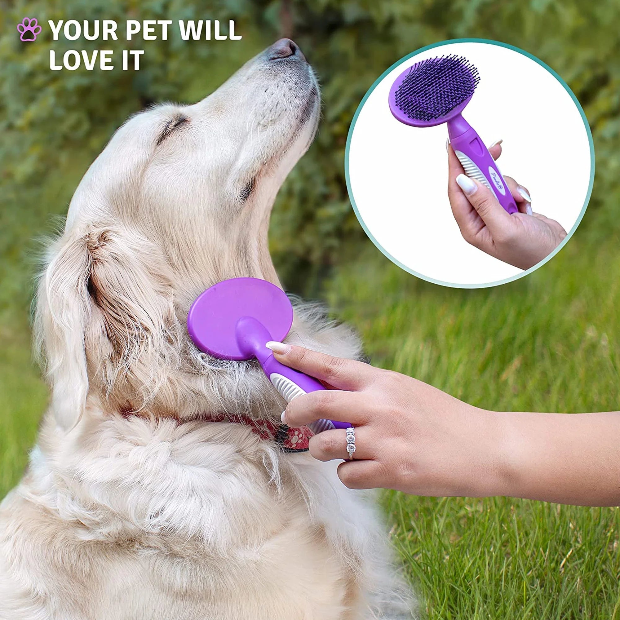 round Soft Bristle Hair Brush Pet Grooming Tool for Dogs & Cats, Purple - AURELLE